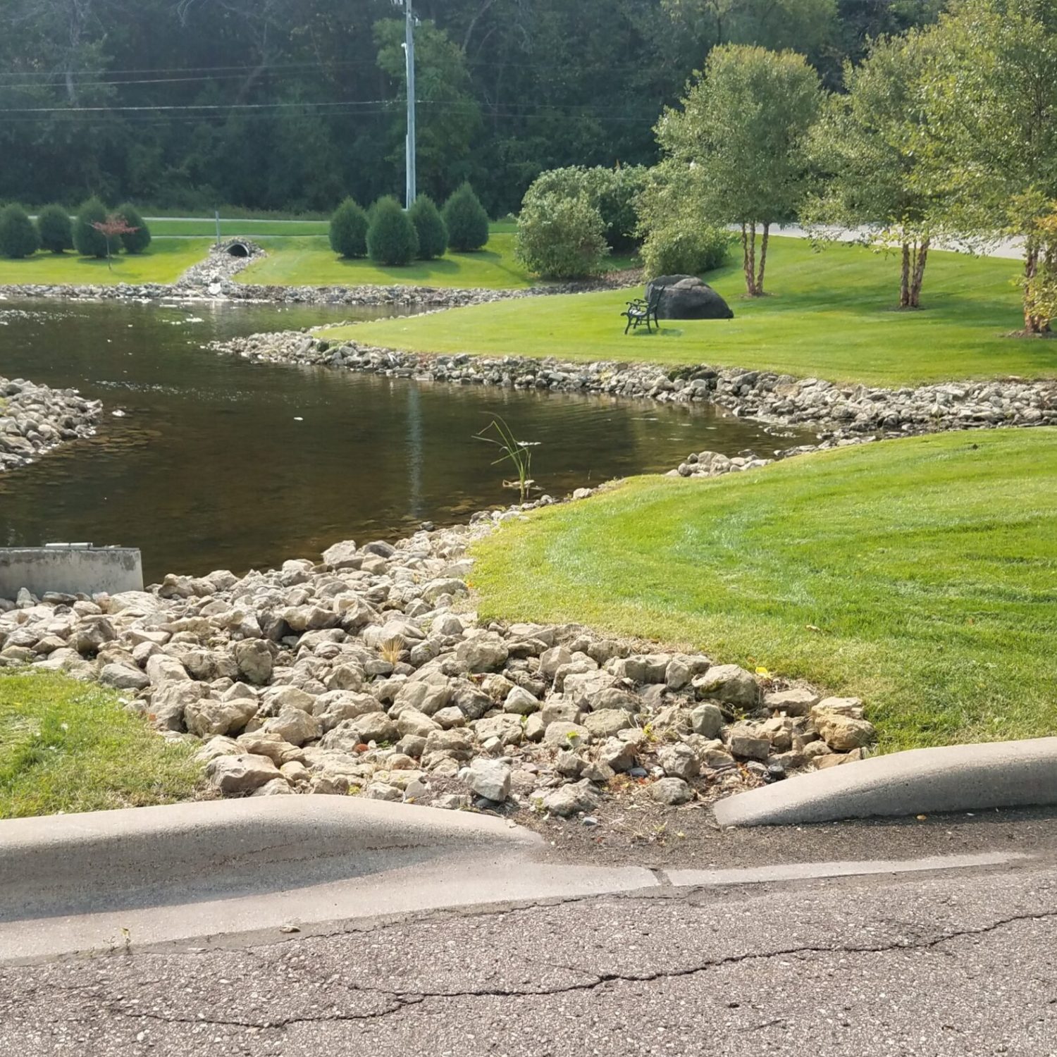 Pond with grass and fountain