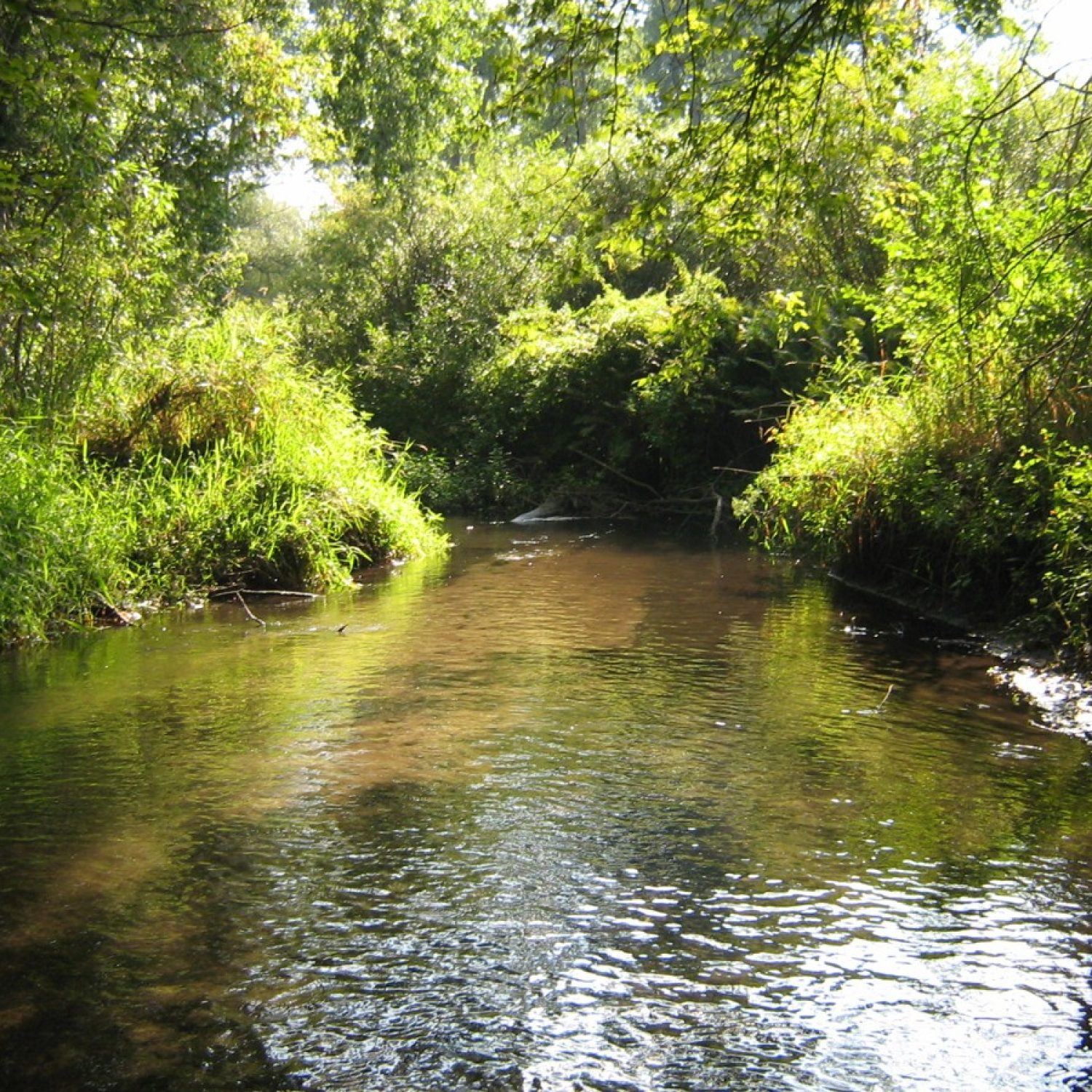 Stream